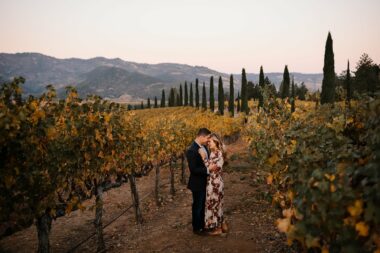 Winery proposal