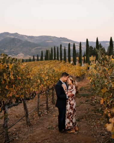 Winery proposal