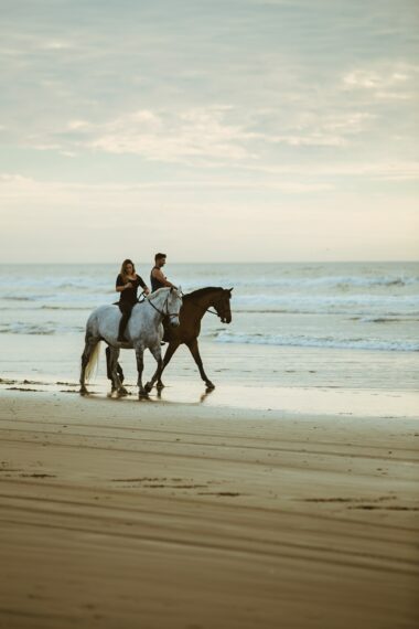 Horse proposal