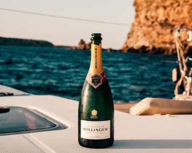 Champagne overlooking the water? Definitely a key part of a proposal on a boat!