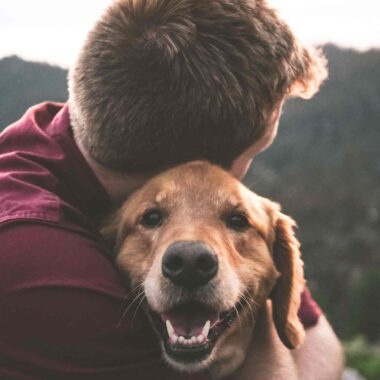 Marriage proposal dog